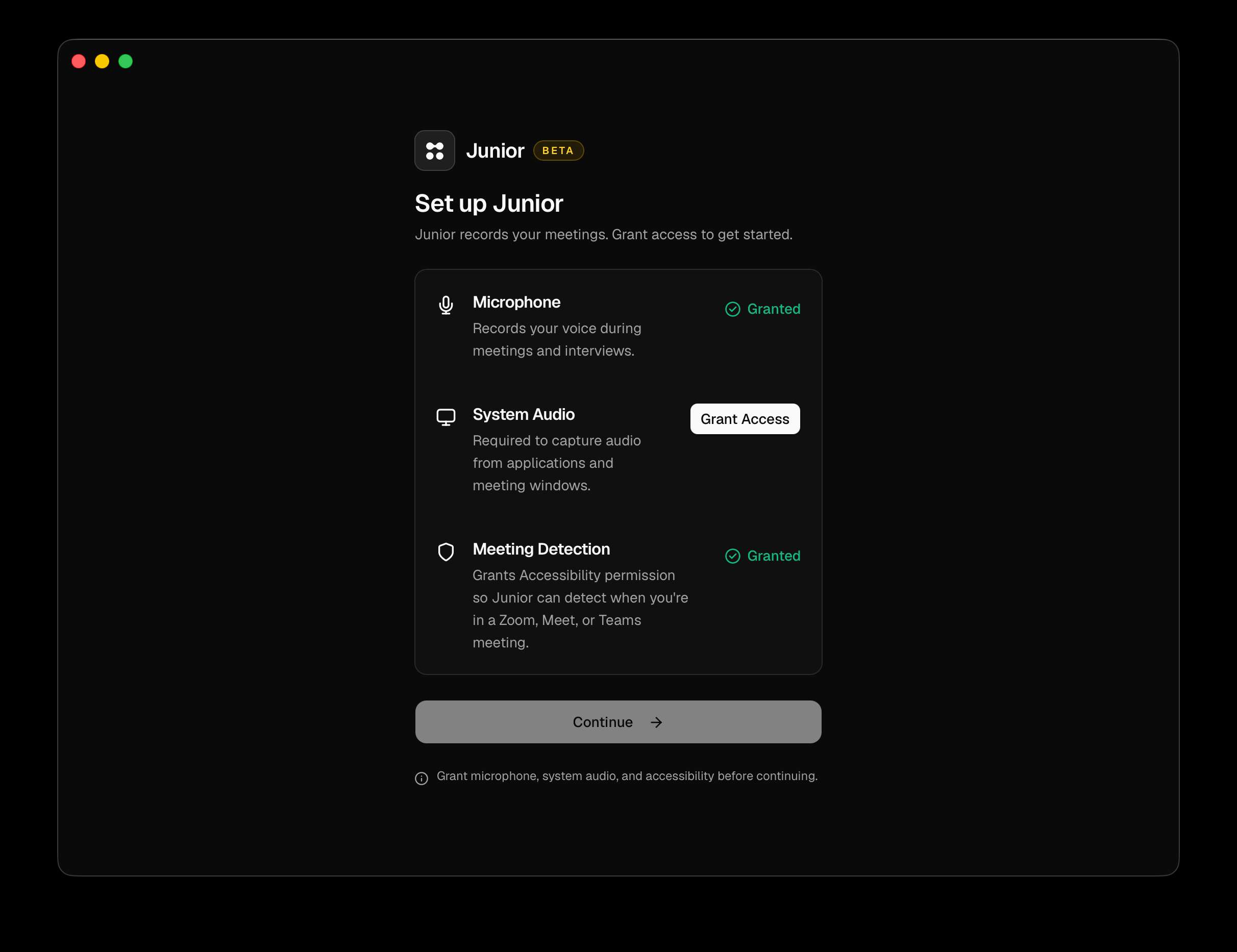 The Set up Junior screen with Microphone, System Audio and Meeting Detection rows